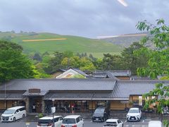 -奈良公园