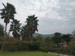 -宁波九龙湖开元度假村