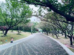 -苏州河梦清园环保主题公园