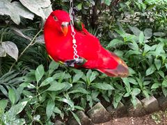 -南宫五洲植物乐园