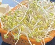 豆芽-楚湘苑(商品街大道店)