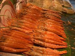 -五月罗马海鲜自助餐厅(陆家嘴店)