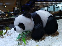 -红辣椒·川菜·火锅(大洋中心店)