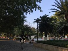 -顺德演艺中心大剧院