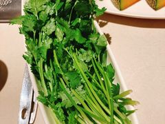 香菜-海底捞火锅(杭州庆春路夜宵主题店)