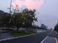 -尚贤河湿地