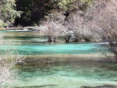 -九寨沟-树正沟