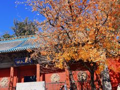 -窦大夫祠