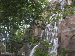 -广州市流溪河国家森林公园