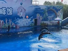-北戴河圣蓝海洋公园