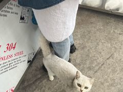 -她说户外烧烤团建(西湖店)