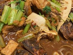 -老板恋上鱼(恒隆广场店)