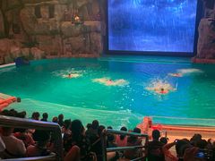 -芜湖新华联大白鲸海洋公园