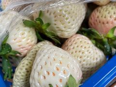 -尚田草莓姑娘白草莓采摘基地