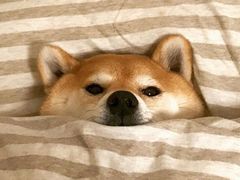 -稻香餐厅中餐干锅(劼人路店)