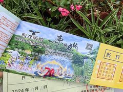 -西双版纳原始森林公园