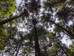 -山王坪喀斯特国家生态公园