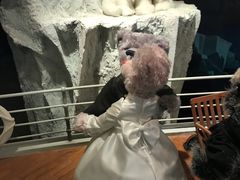 -济州岛泰迪熊博物馆