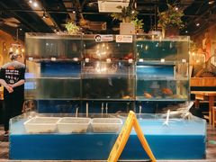 -小俩口烧烤东北菜(双井店)