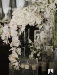 -琥珀婚礼策划AMBER WEDDING