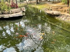 -南通洲际绿博园