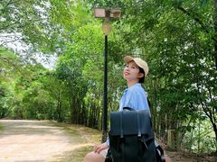 -佛山市三水区大南山森林公园