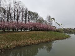 -苏州太湖国家湿地公园
