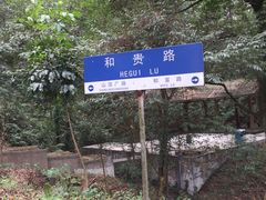 -广州市帽峰山景区