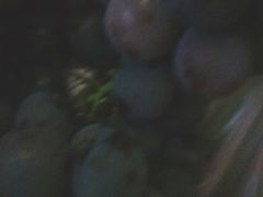 -柯剑飞超级水果批发中心(东港店)