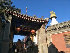 -五台山风景名胜区-罗睺寺