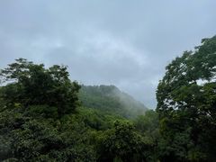 -南山植物园