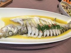 -鸽子张·家宴(大兴店)