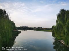 -大兴滨河森林公园