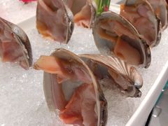 -海底捞火锅(龙岗星河COCO Park店)