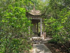-灵谷景区