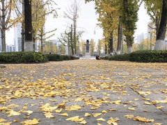 -两江幸福广场