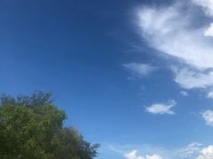 -东姑阿都拉曼海洋公园