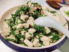 沙葱拌豆腐-宁夏国强手抓羊肉·清真菜(未央路凤三店)