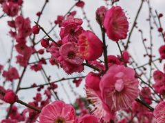 -长广溪湿地公园
