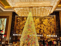 -长沙富力万达文华酒店