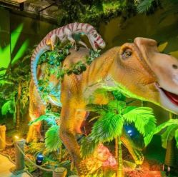 -恐龙探索乐园(磁器口店)