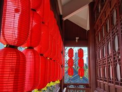 -飞来湖湿地公园