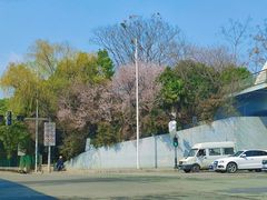 -凯德广场(西城店)