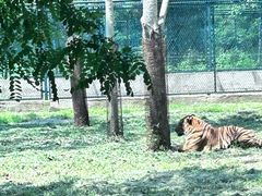 -秦皇岛野生动物园