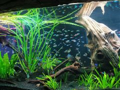 -上海海洋水族馆