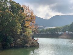 -溪口-滕头旅游景区