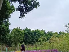 -天适樱花悠乐园