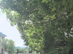 -四门塔风景区