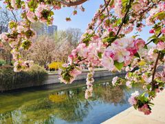 -元大都城垣遗址公园