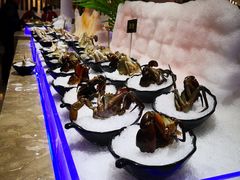 -海玥荟海鲜姿造自助餐厅(欧罗巴广场店)